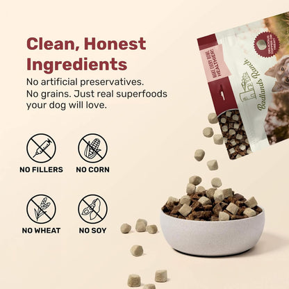 BADLANDS RANCH Superfood Nuggets – Freeze-Dried Raw Dog Treat & Food Topper, Nutrient-Dense Bison & Kale Formula, High Protein, No Artificial Additives, 8oz Bag