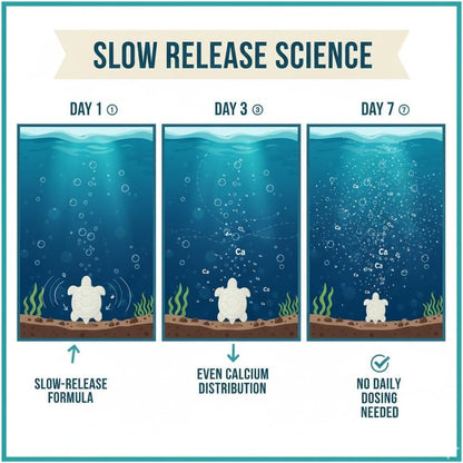 Shellstrong Premium Calcium Block for Aquatic Turtle - Slow Release Water Tank Conditioner - Cuttlebone for Aquarium - Turtle Tank Accessories - 20 Gallon Aquatic Tank Treatment (3 Calcium Blocks)