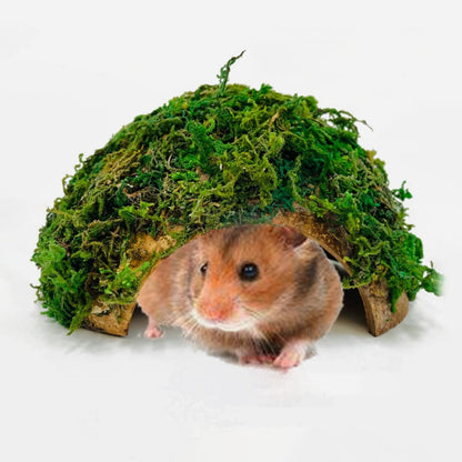 BESTonZON Hamster Shelter and Reptile Hideout Mossy Cave Terrarium Ornament with Tortoise Basking Platform for Turtle and Lizard Habitat