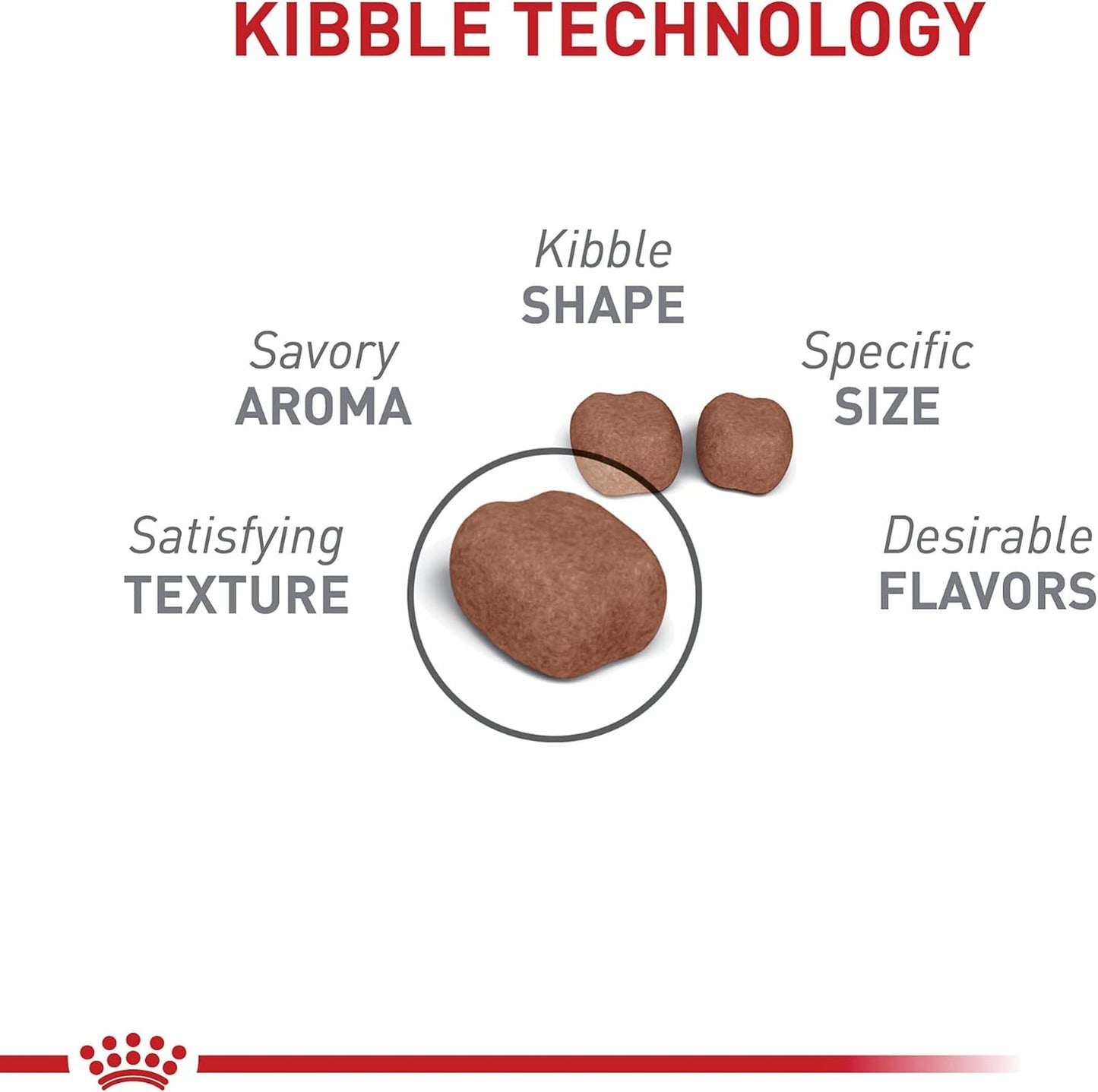 Royal Canin Feline Care Nutrition Dental Care Adult Dry Cat Food, 6 lb Bag