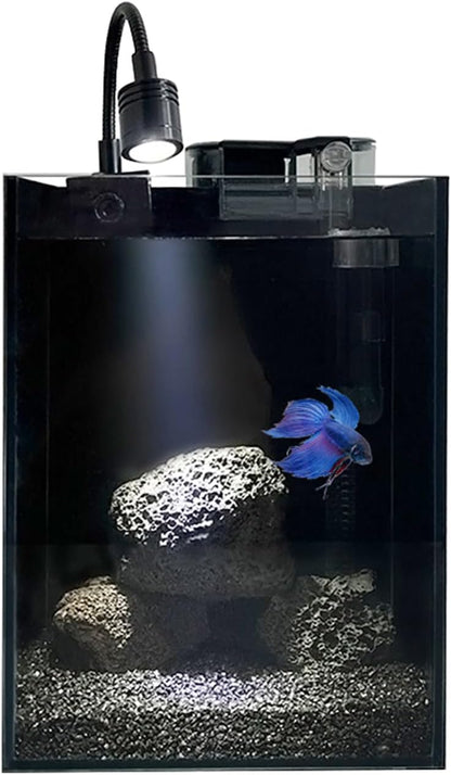 1.5Gallon Glass Aquarium Nano Small Fish Tank Start Kit with Adjustable Filter,LED Light for Small Fish,Shrimp,or Betta 22 * 16 * 16cm