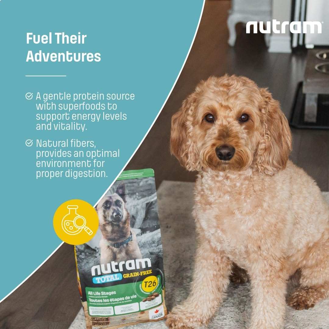 T26 Grain-Free Lamb & Lentils Dry Dog Food | High Protein, Chicken-Free Kibble with Pumpkin, Flaxseed & Salmon Oil | Easily Digestible, Allergy-Friendly for Puppies, Adults & Seniors (4.4 LBS)