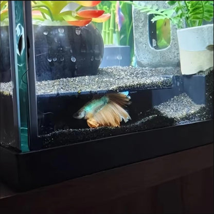 Aquarium Decoration, Axolotl Hide Corner Fish Tunnel, Cave for Fish, Loach, Pleco, Snake, Terrarium