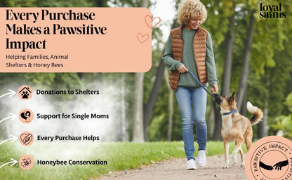 Freeze Dried Raw Dog Food - Chicken & Turkey Salmon Flavors, 14 oz. | High Protein and Grain Free Dog Food for All Breeds and Picky Eaters - Versatile as Meal Topper, Snack, and Treats