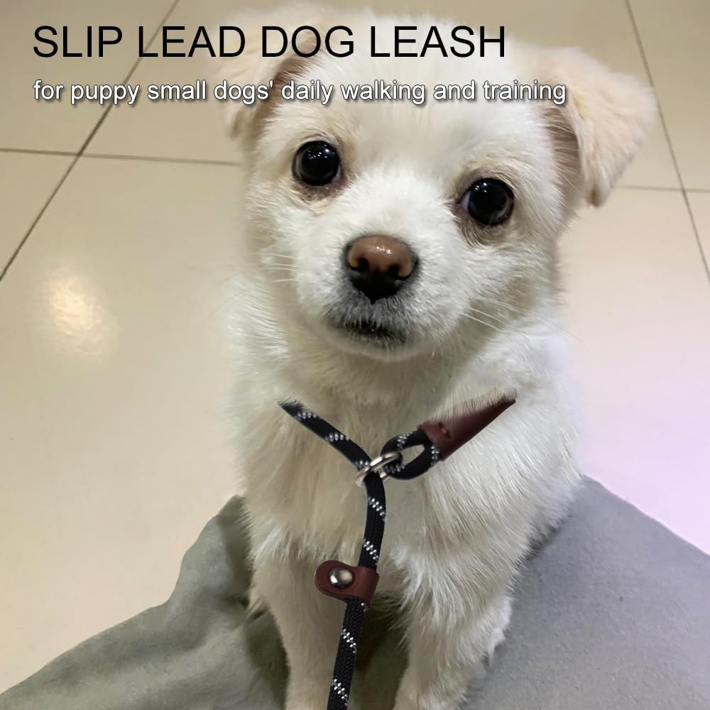 7ft Slip Lead Dog Leash + 6ft Slip Lead Dog Training Leash for Small Dogs, Black+Orange