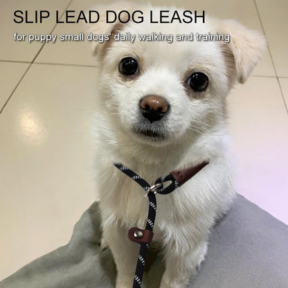 7ft Slip Lead Dog Leash + 6ft Slip Lead Dog Training Leash for Small Dogs, Black+Orange