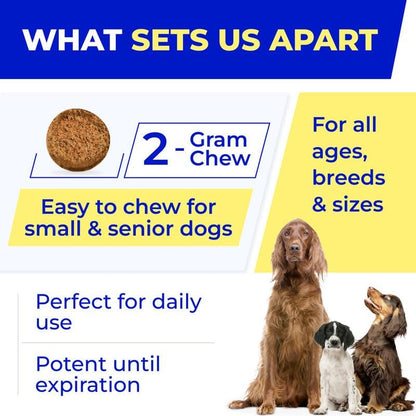 Probiotics for Dogs + Digestive Enzymes - Omega and Pumpkin - Gut Health and Immune Support -Relieves Diarrhea,Gas,Constipation- Made in USA - 120 Chews Pack of 1 Bacon