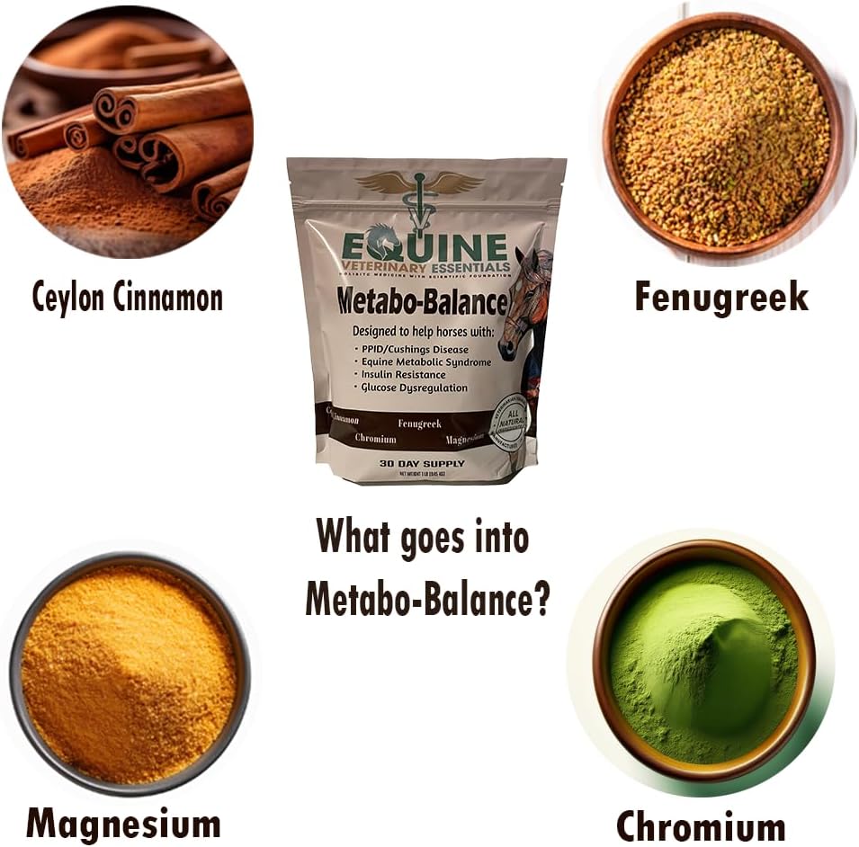 MetaboBalance Equine Metabolic Support Supplement | Helps Manage Laminitis, PPID & Insulin Resistance | Natural Horse Formula for Blood Sugar & Hormonal Balance | Daily Powder