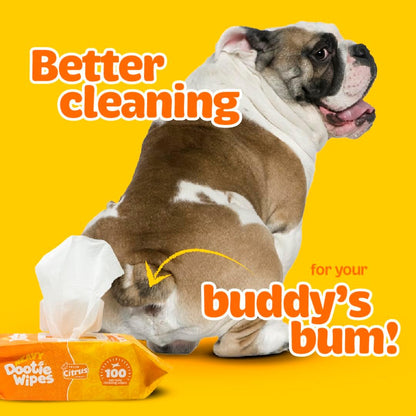 HEAVY Dootie Wipes - Convenient Durable Dog Wipes for Paws, Butt with Very Mild Pleasant Citrus Scent, 100 Count - Puppy Essentials Pet wipes, Dog Wipes Cleaning and Deodorizing. Made with Bamboo.
