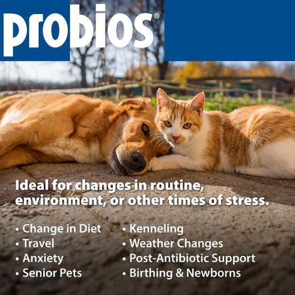 Probios for Dogs Soft Chews, Probiotics for Dogs, Daily Supplement for Gut Health, Digestion & Immune Support, Medium & Large Breeds, 8.46oz (Pack of 2)