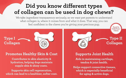 DreamBone CollaYUMS Twists Plus Collagen Chews for Dogs, 10 Count, Treat Your Dog to Rawhide-Free Chews Made with Chicken, Vegetables and Peanut Butter