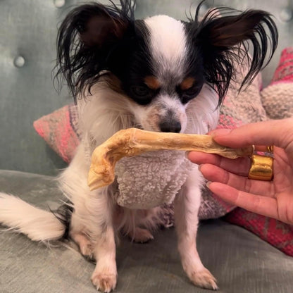 Munchbird Lamb Trotter Dehydrated Dog Treats Natural Glucosamine for Dogs Chondroitin for HIPS and Joints Lean Hypoallergenic Protein Rawhide Free. Alternative to Duck Feet Lamb Ears (4.5 oz)