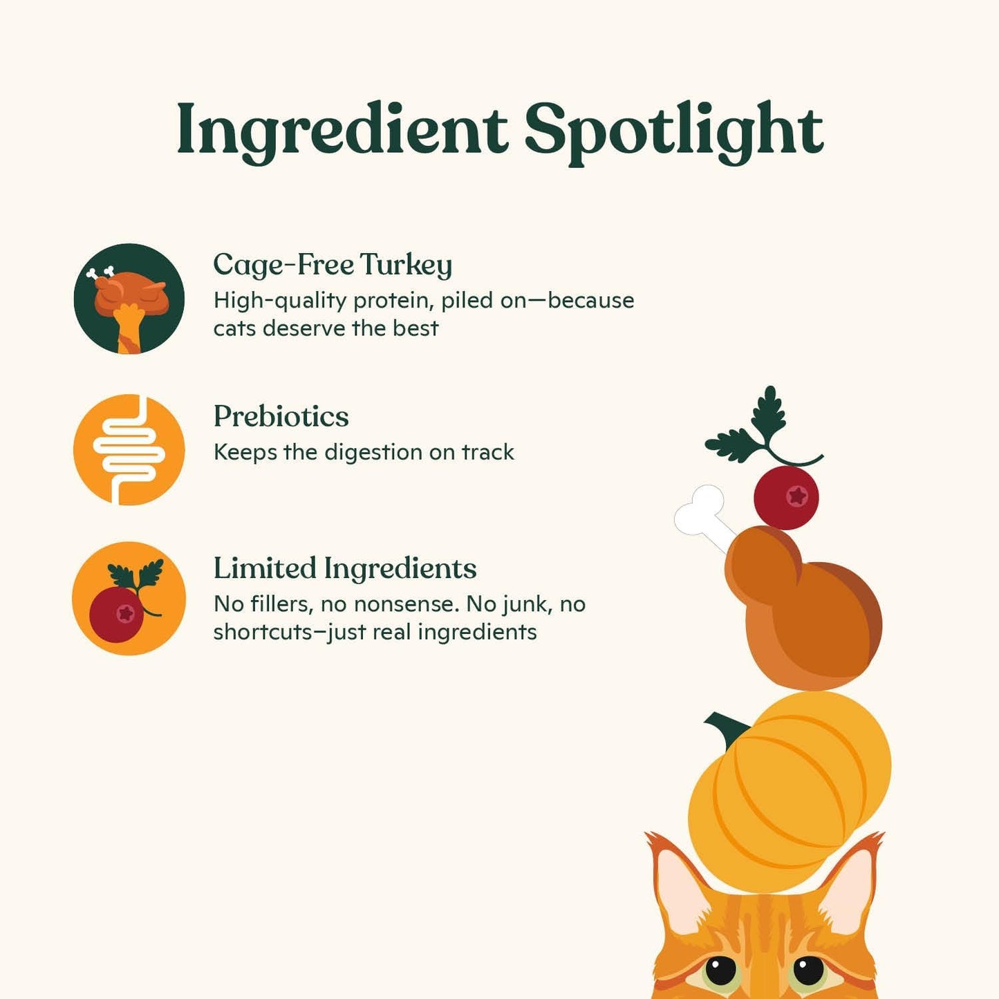 Made by Nacho Bone Broth Cat Food Topper for Hydration and Picky Eaters - Add Protein and Flavor to Your Dry Cat Food – Supports Optimal Nutrition, Digestion, Skin & Coat, 11 oz. Turkey (Pack of 2)