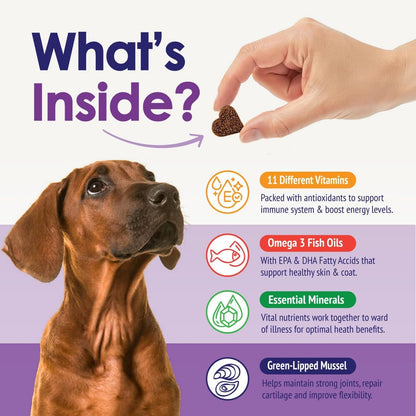 Dog Multivitamins Chewable Supplement - 22 in 1 Dog Vitamins for Itchy Skin & Coat, Immune System, Joints & Overall Health - Vitamins A, B, C, D, E, K & Antioxidants - 60 Chews - Beef Flavor