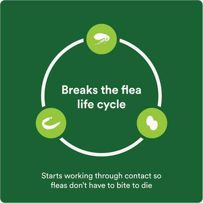 Advecta Plus Topical Flea Treatment for Cats and Kittens, Flea Prevention and Control, Small & Large, Fast-Acting Waterproof Drops, 4-Month Supply