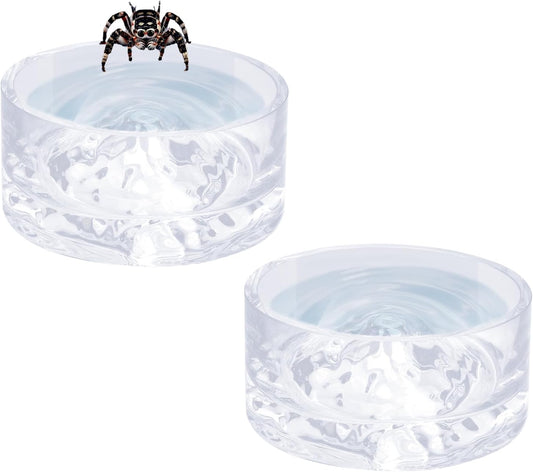 Jumping Spider Enclosure Accessories, 2 Pack Glass Feeding Dish for Food and Water, Little Food Bowl for Jumping Spider, Tarantula, Beetle and Other Small Pets