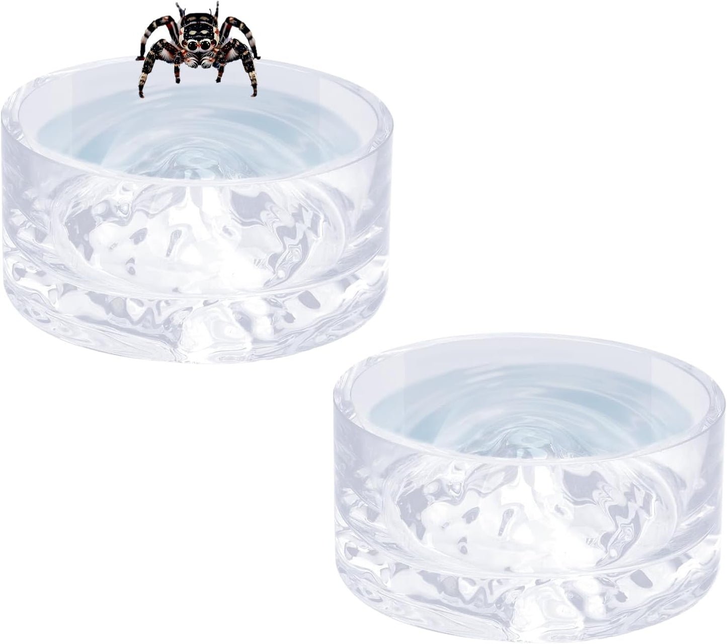 Jumping Spider Enclosure Accessories, 2 Pack Glass Feeding Dish for Food and Water, Little Food Bowl for Jumping Spider, Tarantula, Beetle and Other Small Pets