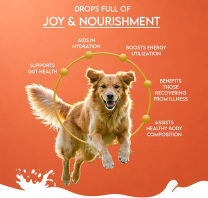 Pawfect Nature's Sip Camel Milk Powder with Papaya, Banana, Broccoli & Flaxseeds| Easily Digestible| Pre & Probiotics| Healthy Topper| Low Glycemic| Hydration Support| 30 Scoops| (150g/5.29oz)