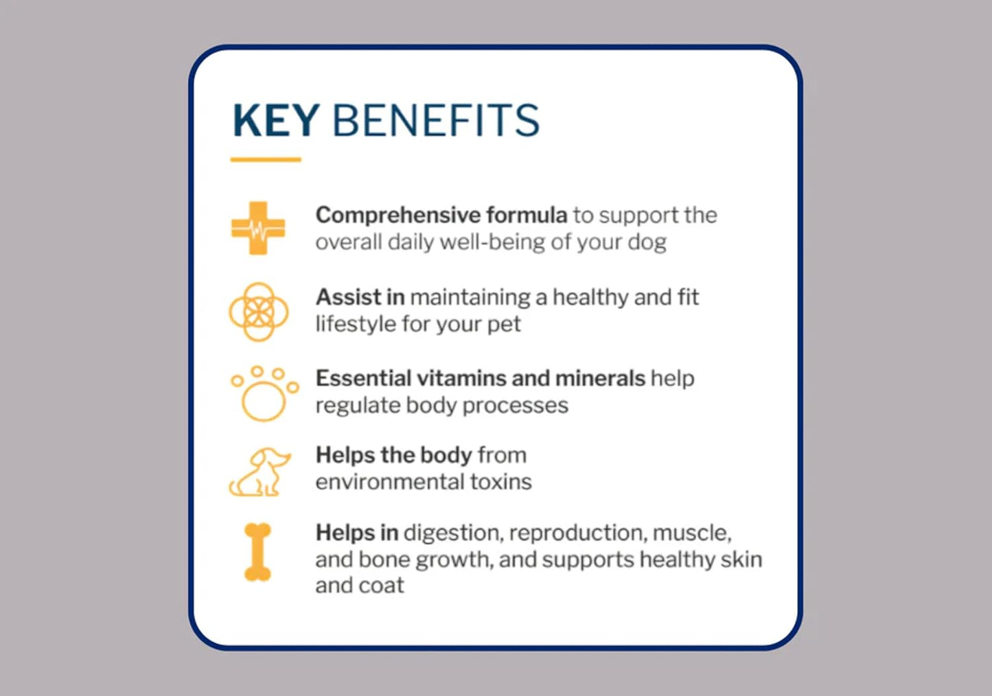 to The Rescue Dog Multivitamin Supplement - Ideal Supplement to Promote Overall Wellness for Dogs of All Breads and Ages - Assist in Maintaining a Healthy and Fit Lifestyle for Your Dog - 60 Chews
