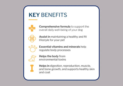 to The Rescue Dog Multivitamin Supplement - Ideal Supplement to Promote Overall Wellness for Dogs of All Breads and Ages - Assist in Maintaining a Healthy and Fit Lifestyle for Your Dog - 60 Chews