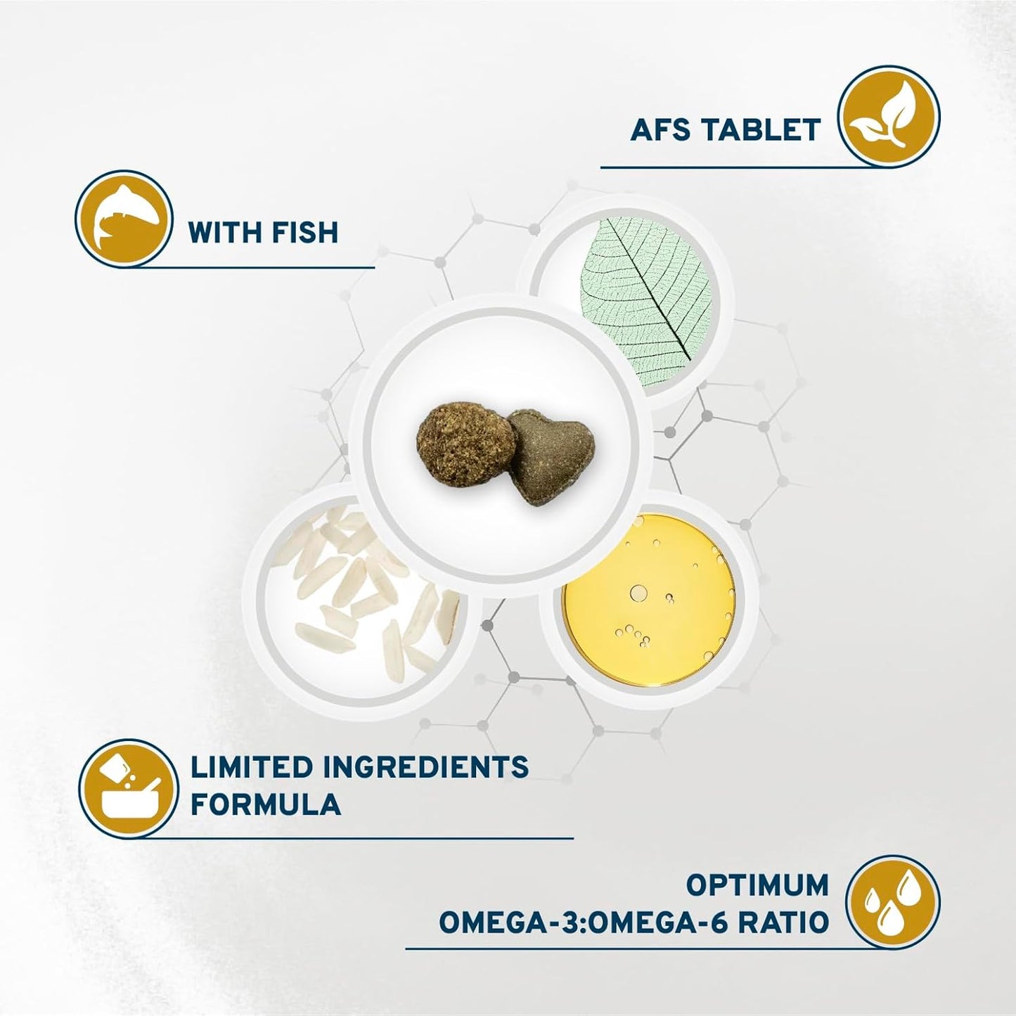 Forza10 - Cat Food, Limited Ingredient Cat Food for Urinary Health and UTI Support, Non-GMO, Fish Flavor, Made in Italy (0.88 lb)