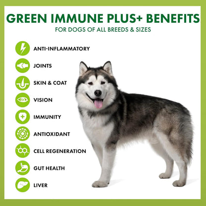 King Kanine Tripple Wellness Combo - Pet Wellness Bundle – Green Inmune Plus, Strong Plus Probiotic with Protein & Joints, Mushroom Plus – Daily Support for Dogs & Cats