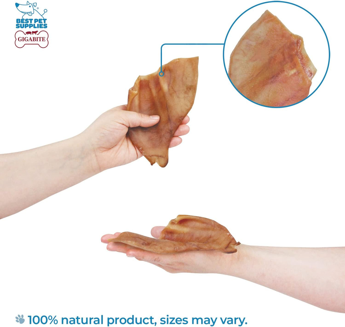 Best Pet Supplies GigaBite Roasted Pig Ears for Dogs - Natural Dog Chews, Roasted Pigs Ears, Safe for Puppies and Aggressive Chewers, Cleans Teeth and Gums - Whole Ears, Pack of 22