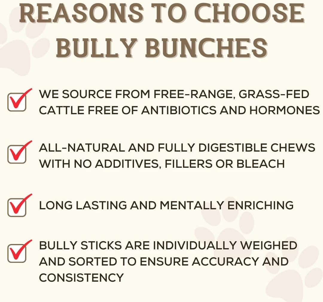 Bully Bunches Premium 6 Inch Standard Odor-Free Bully Sticks for Small to Medium Dogs & Puppies - Long Lasting Chews for Oral Care - All Natural, 100% Beef Dog Treats, Rawhide Free (5 Pack)