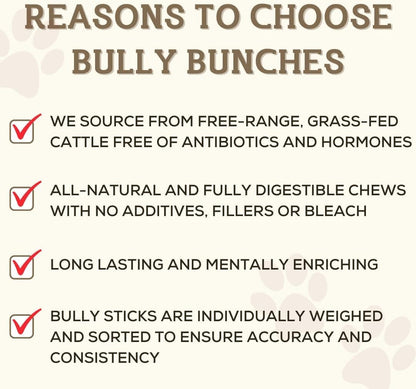 Bully Bunches Premium 6 Inch Standard Odor-Free Bully Sticks for Small to Medium Dogs & Puppies - Long Lasting Chews for Oral Care - All Natural, 100% Beef Dog Treats, Rawhide Free (5 Pack)