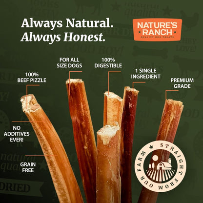 Nature's Ranch Odor-Free Thick Bully Sticks for Medium and Large Dogs 5-6 Inch, 10 Count – Natural, Rawhide-Free, Long Lasting Dog Chews, Single Ingredient, Fully Digestible Treats