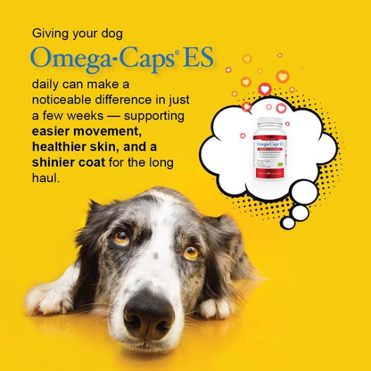 Omega Caps ES Extra Strength for Large and Giant Dogs Omega-3 and Omega-6 Fatty Acid Antioxidant Supplement Vet Formulated Made in USA Skin Coat Joint Heart and Immune Health 60 Softgel Capsules