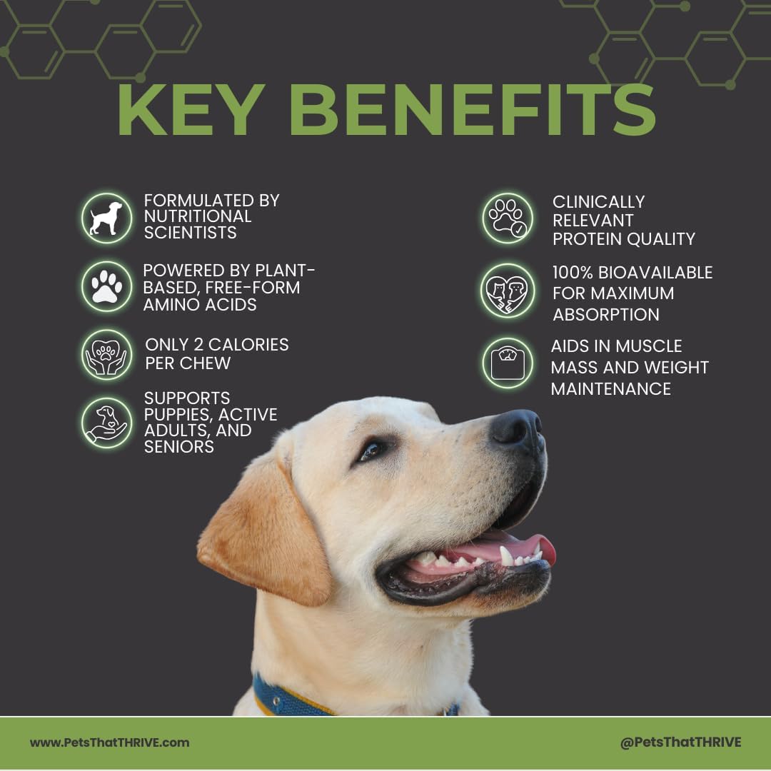 Thrive Daily Amino Acids for Dogs – Muscle Health, Recovery, Energy & Longevity – Supports Joints, Skin & Coat – Peanut Butter Soft Chews, 30 Count (4.8oz)