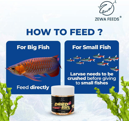 Dried Black Soldier Fly Larvae - 100% Natural Protein Rich Fish Food for Arowana, Flower Horn, Oscar, Redtail Shark (20 g/ 0.7 Oz/100 ml) (Pack of 2)