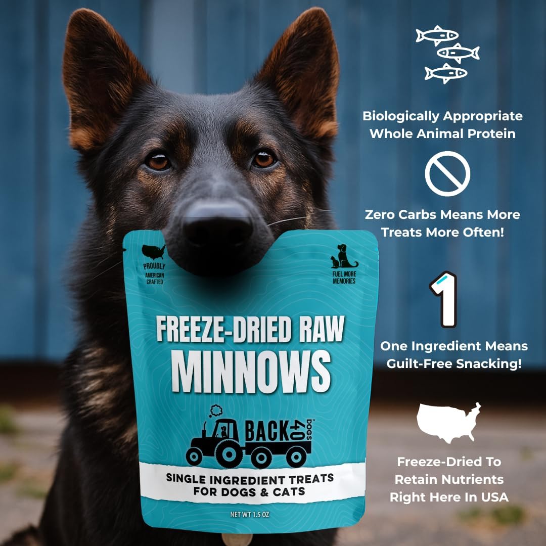 Premium Freeze Dried Minnows for Dogs & Cats - Single Ingredient Raw Dog Training Treats & Dog Food Topper - Made in USA - Gluten Free, Grain Free, High Protein, Rich in Omega-3s - (1.5oz)