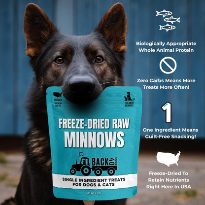 Premium Freeze Dried Minnows for Dogs & Cats - Single Ingredient Raw Dog Training Treats & Dog Food Topper - Made in USA - Gluten Free, Grain Free, High Protein, Rich in Omega-3s - (1.5oz)