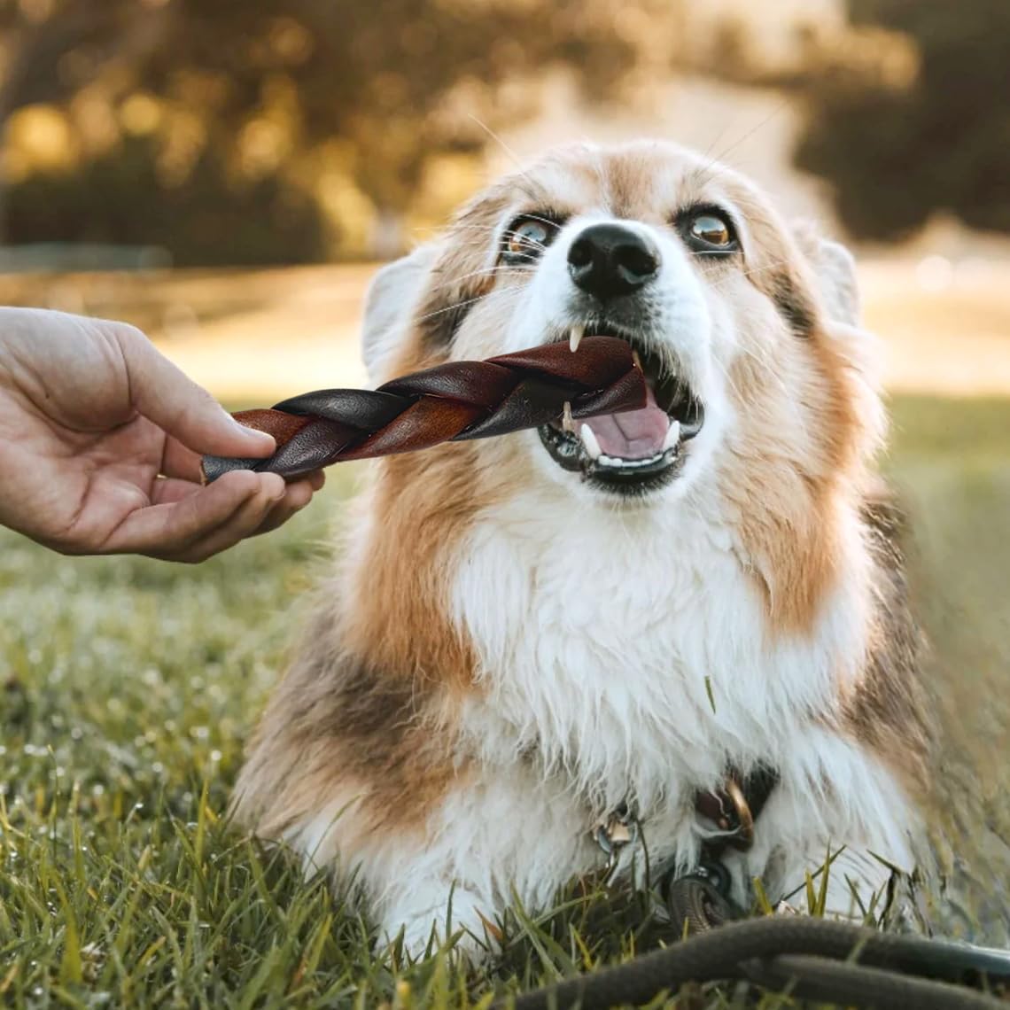 Jumbo Braided Collagen Sticks for Large Dogs, 5 Count 5-6 Inch Beef Collagen Dog Chews Long Lasting, Dog Treats for Aggressive Chewers & Bully Stick Alternative