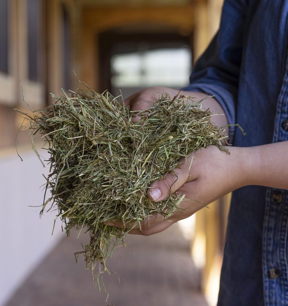 Triple Crown Safe Starch, Fortified Forage Low Starch Horse Feed, Grain Free Horse Food, Orchard Hay & Timothy Hay for Horses, 40 lbs