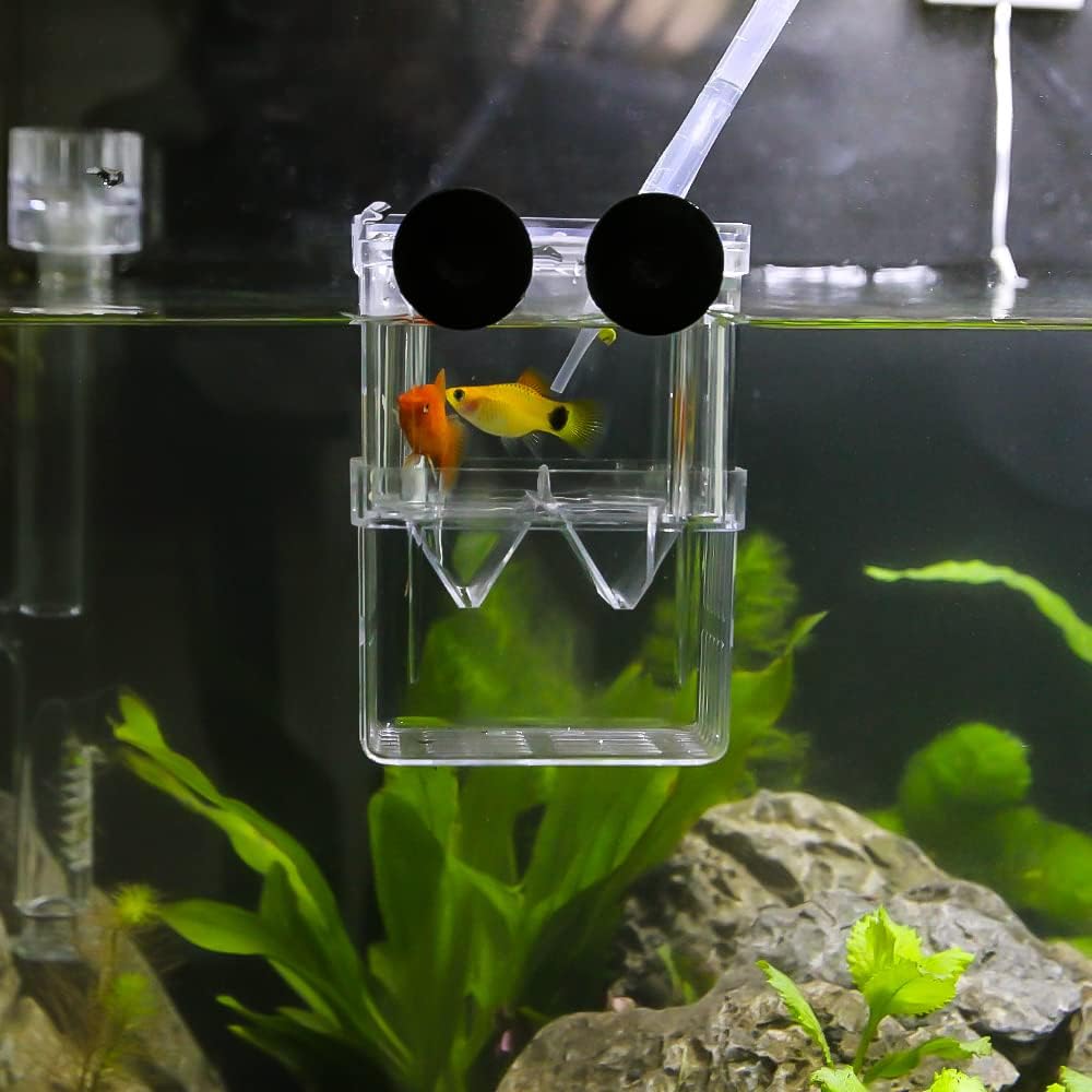 Senzeal Aquarium Fish Breeder Box Plastic Fish Isolation Breeding Box Hatching Incubator Box for Baby Fishes Shrimp Clownfish Guppy