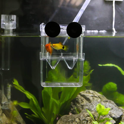 Senzeal Aquarium Fish Breeder Box Plastic Fish Isolation Breeding Box Hatching Incubator Box for Baby Fishes Shrimp Clownfish Guppy