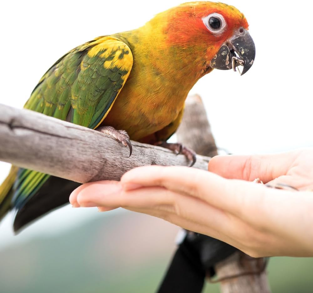 Wild Harvest Universal Blend for Medium and Large Birds 10 Pounds; Fortified Nutrition