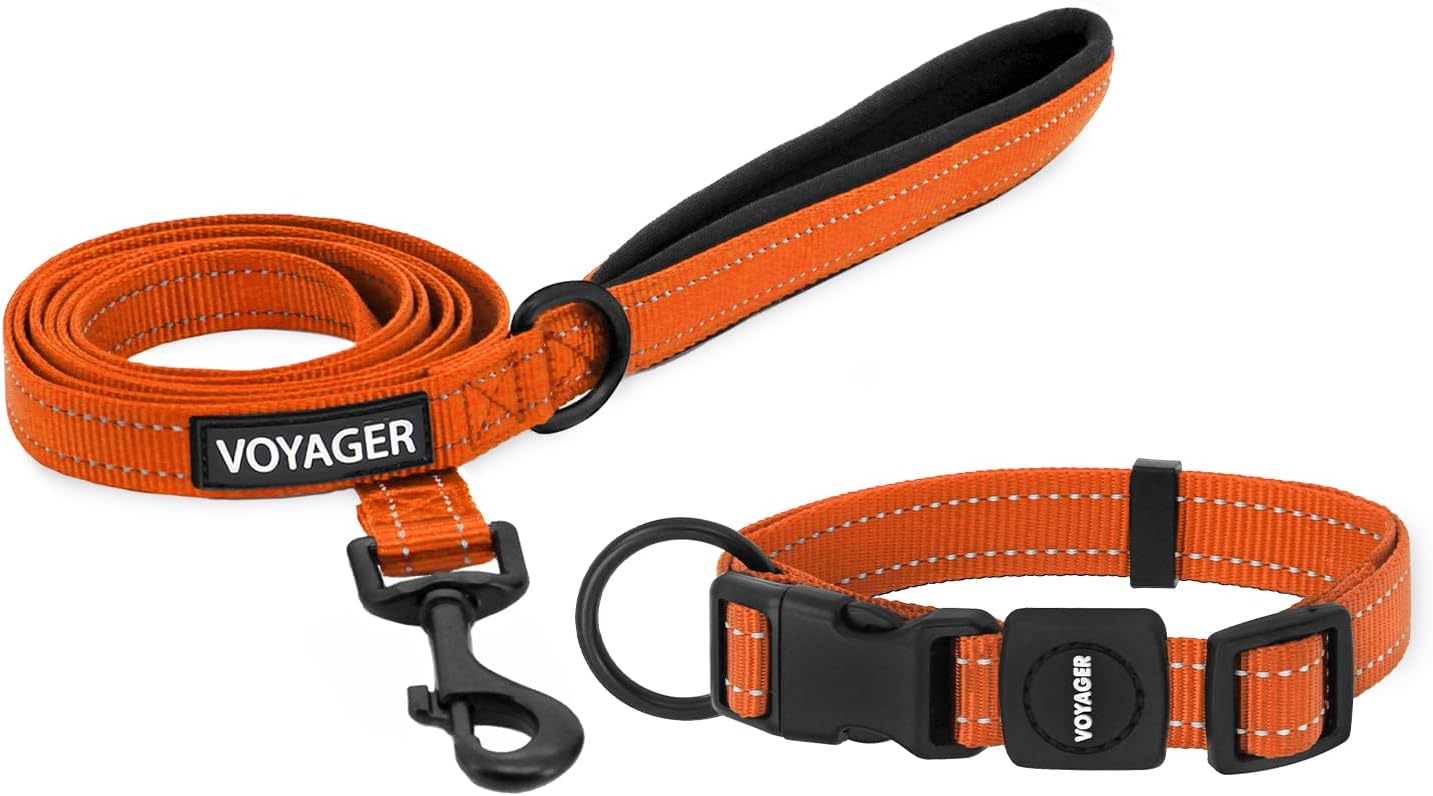 Best Pet Supplies Voyager Reflective Dog Leash or Collar with Neoprene Handle, for Small, Medium, and Large Breed Puppies, Cute and Heavy Duty for Walking, Running and Training - Orange, L