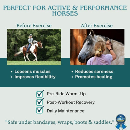 Dr. Milt’s Horse Muscle & Joint Relief Spray – All-Natural Horse Liniment with Arnica, Epsom Salt– Fast-Acting Pain Relief for Sore Muscles, Tendons & Joints 1-8oz Spray