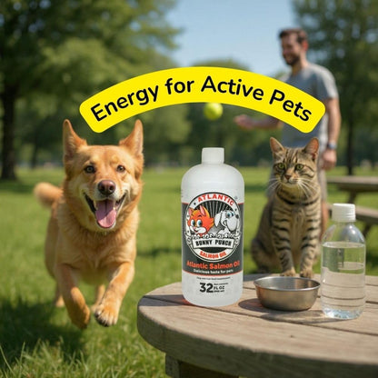 32 oz Salmon Oil for Dogs & Cat's, 100% Pure Atlantic Salmon Oil, Supplemental Fish Oil for Healthy Dog's Coats, Omega 3 Dog Fish Oil Liquid for Coats and Itchy Dry Skin, Helps with HIPS & Joints.