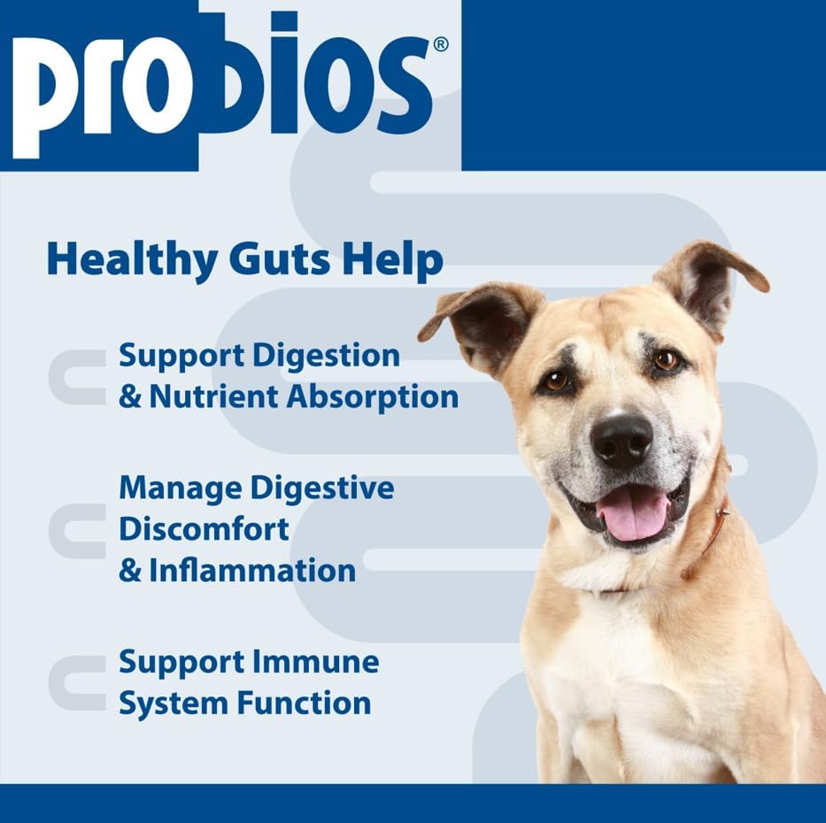 Probios for Dogs Soft Chews, Probiotics for Dogs, Daily Supplement for Gut Health, Digestion & Immune Support, Medium & Large Breeds, 8.46oz (Pack of 2)