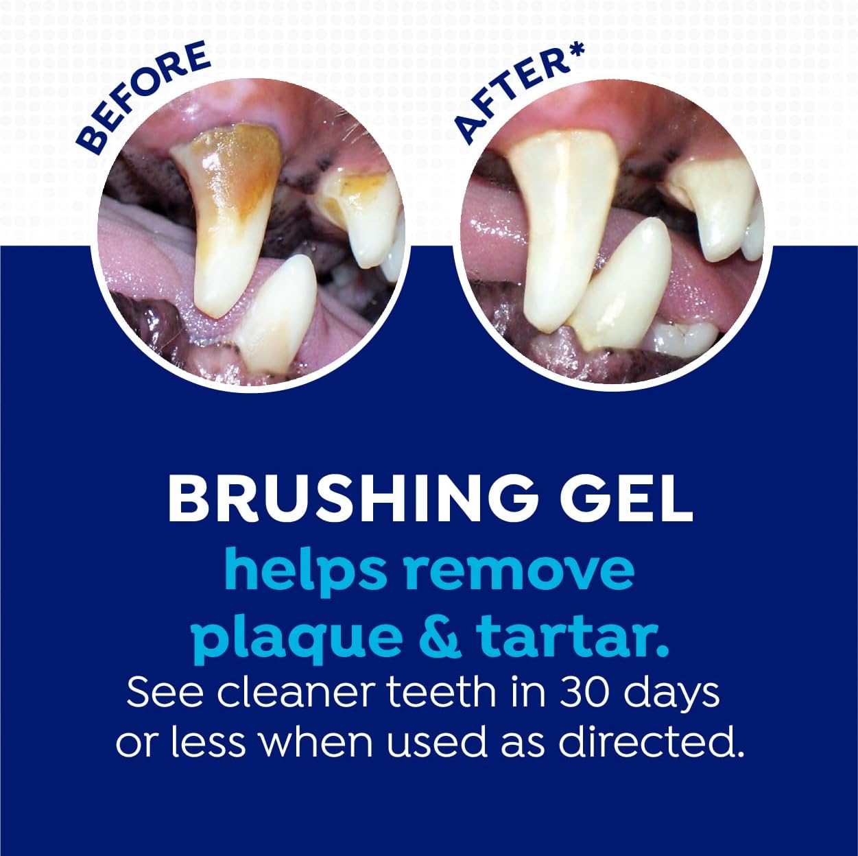 Naturel Promise Fresh Dental Toothbrush and Toothpaste Kit for Dogs, Teeth Cleaning Kit for Plaque & Tartar Removal, Contains Finger Toothbrush, Breath Freshener, Dog Dental Care