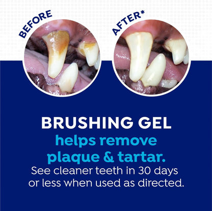 Naturel Promise Fresh Dental Toothbrush and Toothpaste Kit for Dogs, Teeth Cleaning Kit for Plaque & Tartar Removal, Contains Finger Toothbrush, Breath Freshener, Dog Dental Care