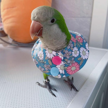 Bird Collar - Anti-Bite Elizabethan Recovery Cone Feather Plucking Protector Skin-Friendly Neckwear for Parakeets Conures Cockatiels Lovebirds Budgies Cockatoos African Grey Random Color (M)