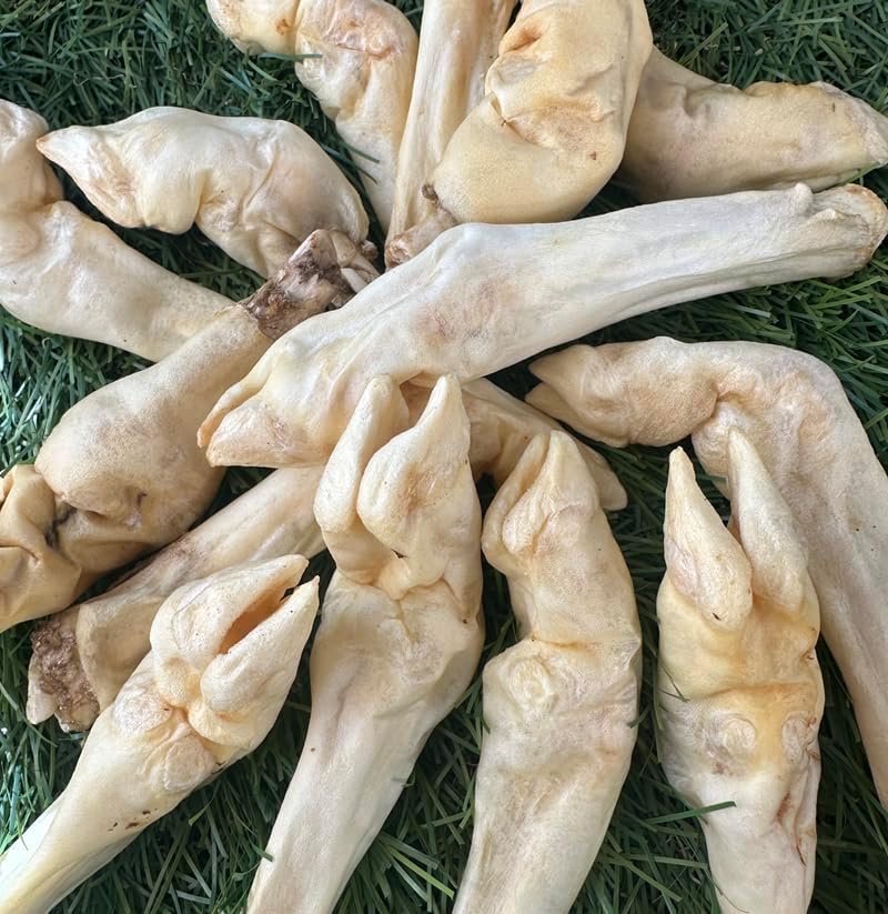 Munchbird Lamb Trotter Dehydrated Dog Treats Natural Glucosamine for Dogs Chondroitin for HIPS and Joints Lean Hypoallergenic Protein Rawhide Free. Alternative to Duck Feet Lamb Ears (4.5 oz)