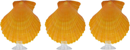 3PCS Betta Hammock Shells, Natural Small Fish Tank Decorations, Betta Fish Tank Accessories, Aquarium Decorations, Aquarium Hideout Habitat for Sleeping Resting Hiding Playing (Yellow)