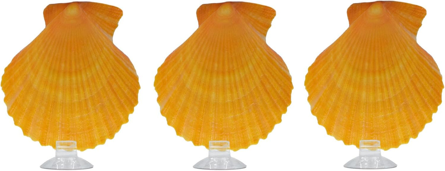 3PCS Betta Hammock Shells, Natural Small Fish Tank Decorations, Betta Fish Tank Accessories, Aquarium Decorations, Aquarium Hideout Habitat for Sleeping Resting Hiding Playing (Yellow)